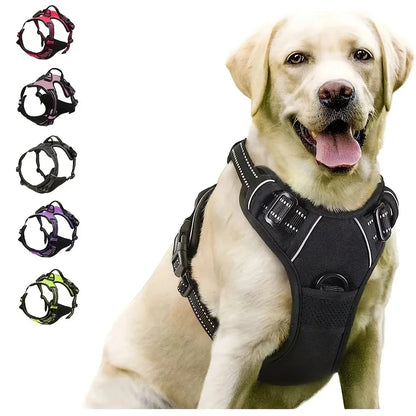 Adjustable Dog Harness & Leash Set