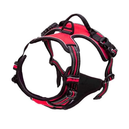 Adjustable Dog Harness & Leash Set