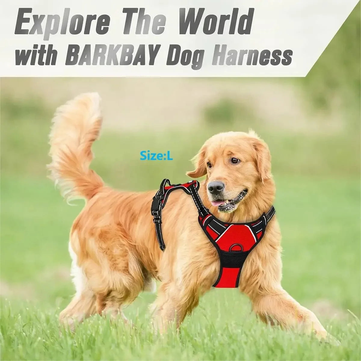 Adjustable Dog Harness & Leash Set