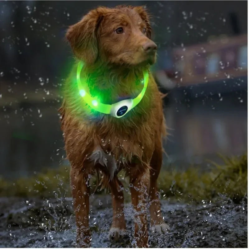 USB Rechargeable LED Waterproof Dog Collar