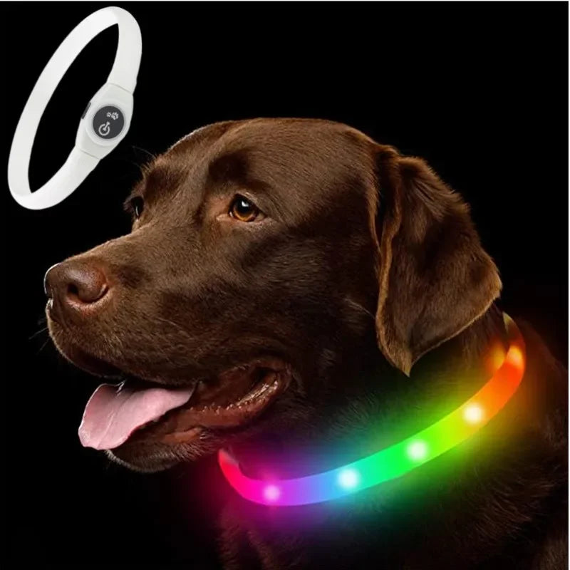 USB Rechargeable LED Waterproof Dog Collar