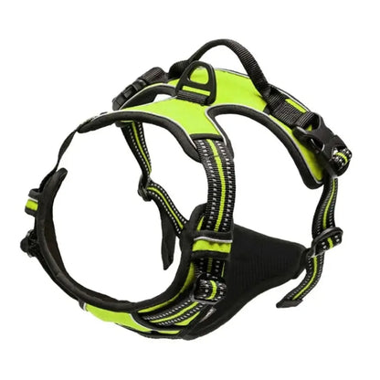 Adjustable Dog Harness & Leash Set