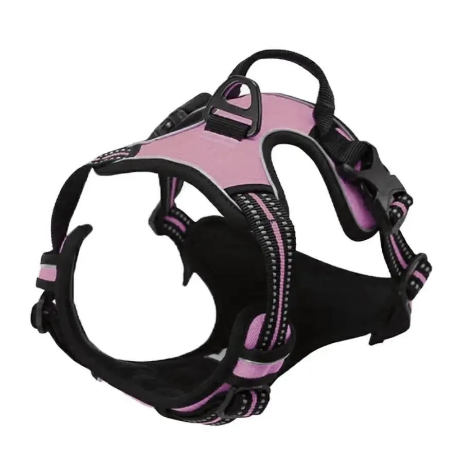 Adjustable Dog Harness & Leash Set
