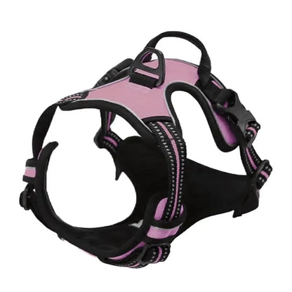 Adjustable Dog Harness & Leash Set