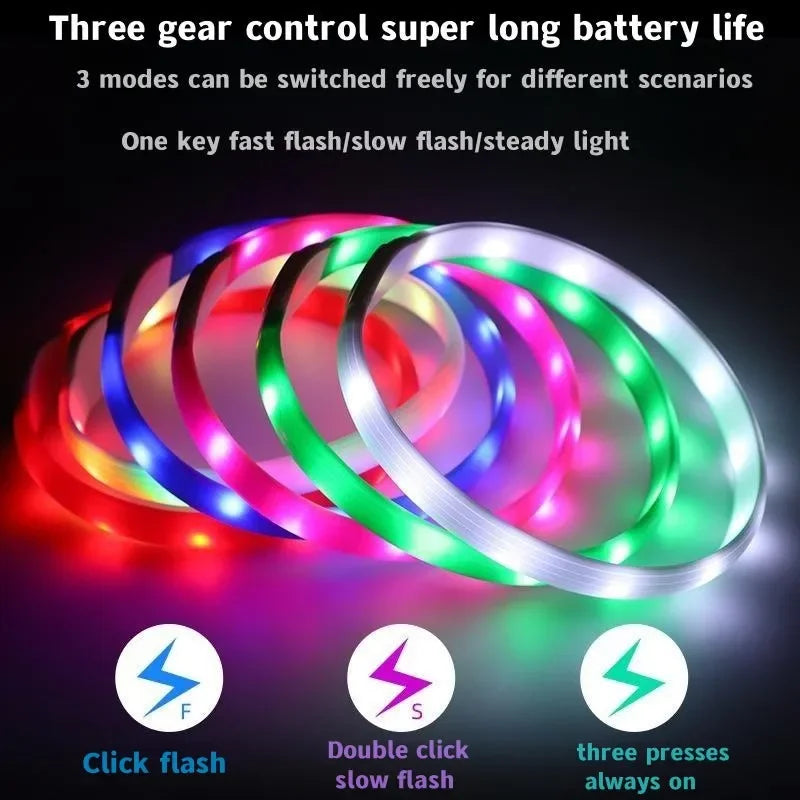 USB Rechargeable LED Waterproof Dog Collar