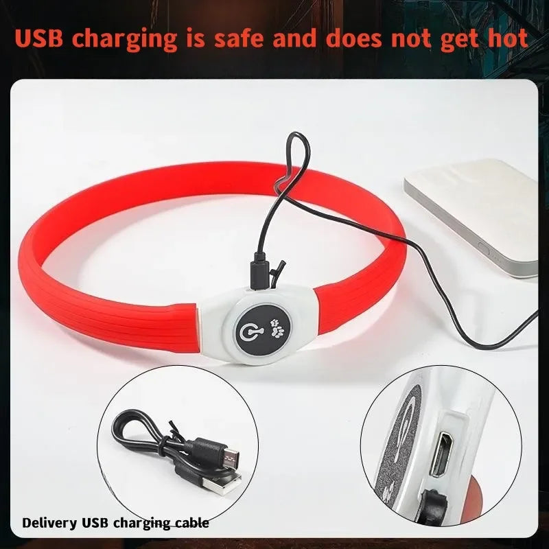 USB Rechargeable LED Waterproof Dog Collar
