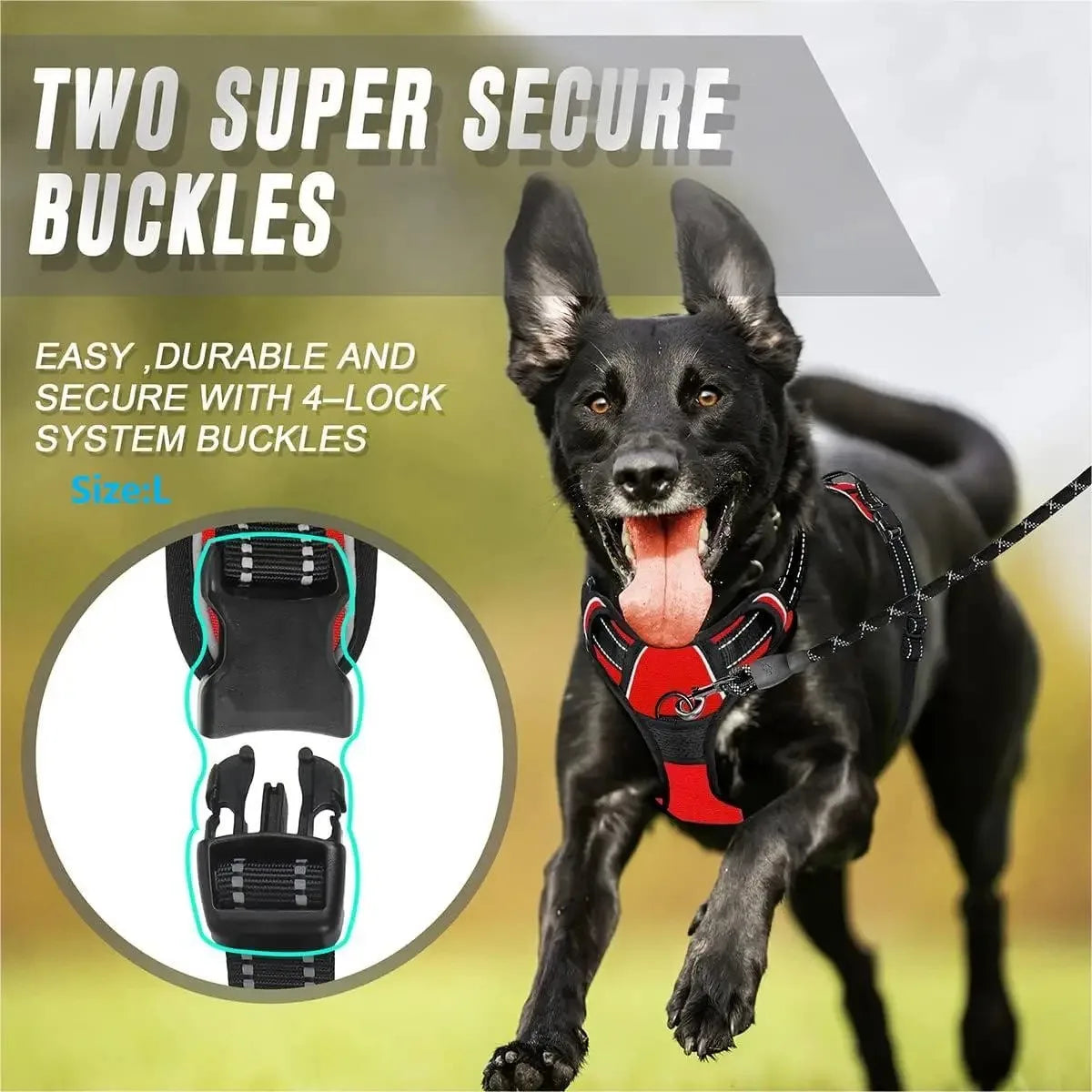 Adjustable Dog Harness & Leash Set