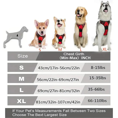Adjustable Dog Harness & Leash Set