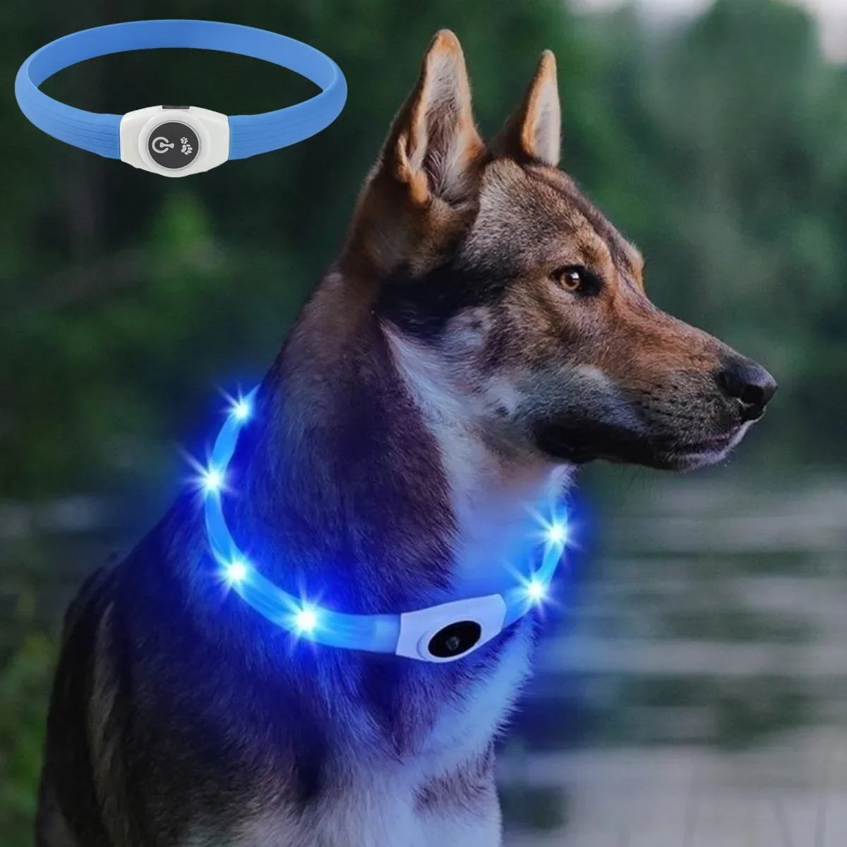 USB Rechargeable LED Waterproof Dog Collar