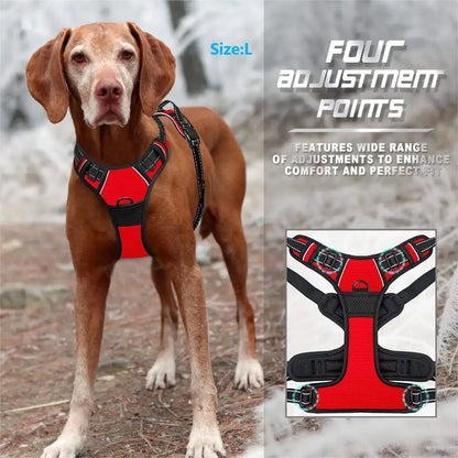 Adjustable Dog Harness & Leash Set
