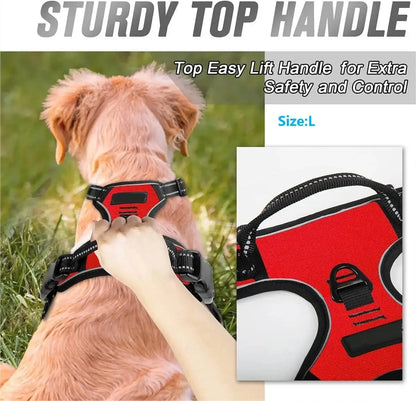 Adjustable Dog Harness & Leash Set