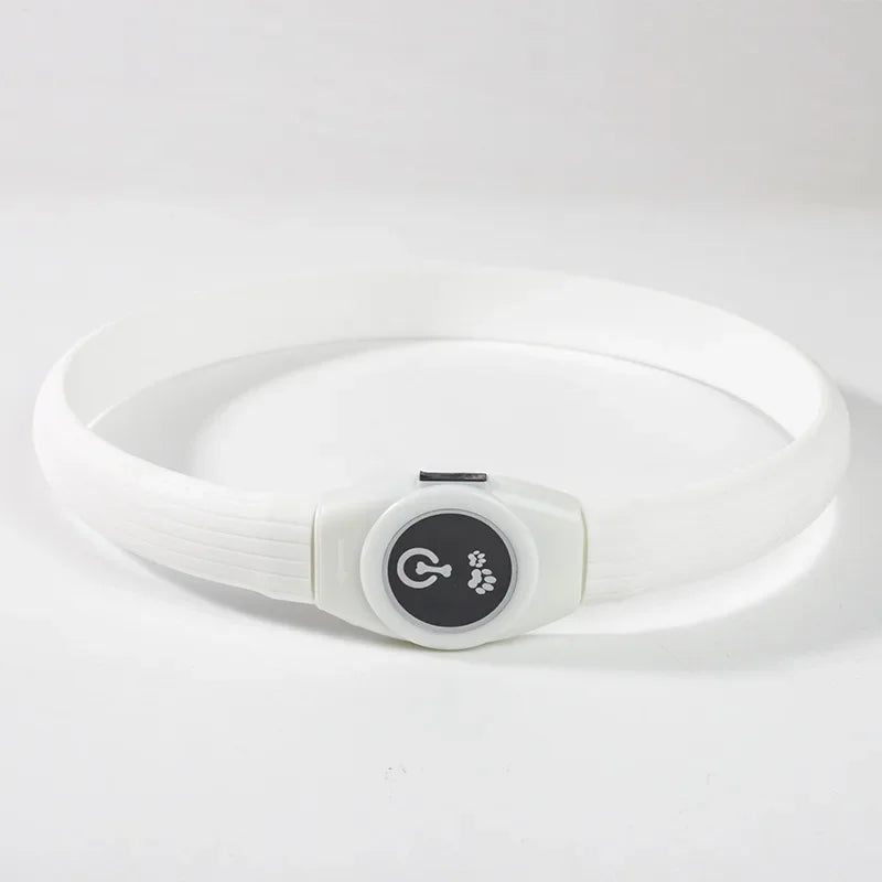 USB Rechargeable LED Waterproof Dog Collar