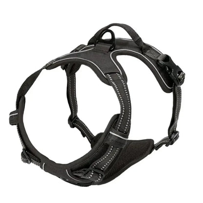 Adjustable Dog Harness & Leash Set